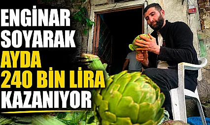 Günde bin enginar soyuyor, ayda 240 bin lira kazanıyor