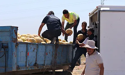 Hatay'da üreticiden alınan 100 ton kavun depremzedelere dağıtıldı