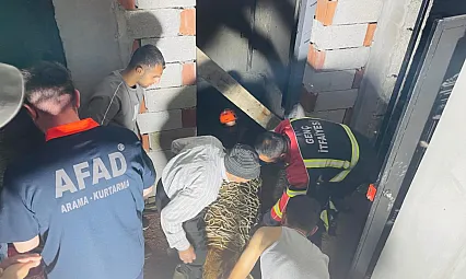 İnşaat çukuruna düşen inekler makaralı sistemle kurtarıldı