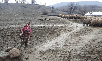 Küçük Zeynep'ten Büyük Merhamet