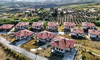 Manavgat'taki büyük orman yangınının üzerinden 5 yıl geçti: Yaralar sarıldı, doğa yeniden yeşeriyor