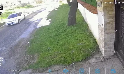 Köpek hırsızlığı kamerada! Sahibinden şaşırtan teklif