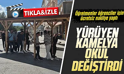 Öğretmenlerden takdir toplayan davranış: Okul'daki dayanıksız dev kamelyayı 200 metre taşıdılar!