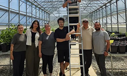 OMÜ'de Trüf Mantarı Fidanlarına Sıcaklık Kalkanı