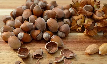 Ordu'da fındık piyasası hareketlendi