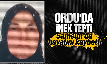 Ordu'da inek tepen kadın hayatını kaybetti