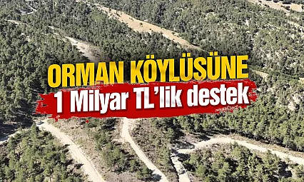 Orman köylülerine endüstriyel odundan 1 milyar TL'lik katkı