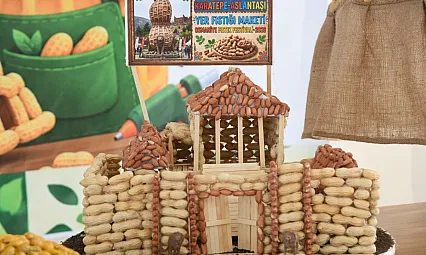 Osmaniye'de öğrenciler yer fıstığını sanatla anlattı