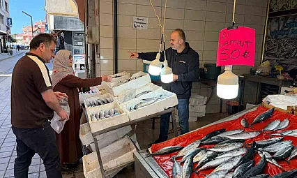 Palamutun tanesi 50 TL! Balık tezgâhlarında hareketlilik