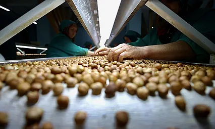 Sakarya'da 220 TL sınırı zorlanıyor