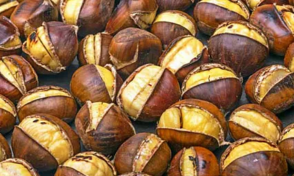 Samsun'da Bu Yıl Kestane Oldu mu?