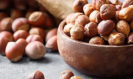 Samsun'da fındık fiyatları yükseliş sinyali veriyor! İlçelerde son durum belli oldu