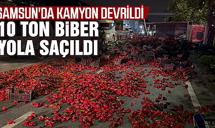 Samsun'da kapya biber yüklü kamyon devrildi, 10 ton biber yola saçıldı
