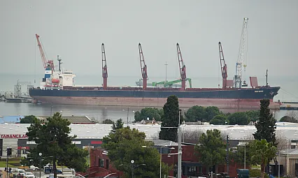 Samsun Gümrüğü'nde Rekor Meyve İhracatı