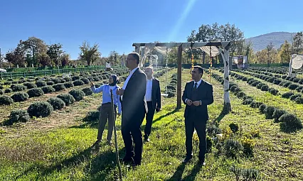 Samsun Kavak'ta kadın girişimciden tarımsal çeşitliliğe örnek üretim
