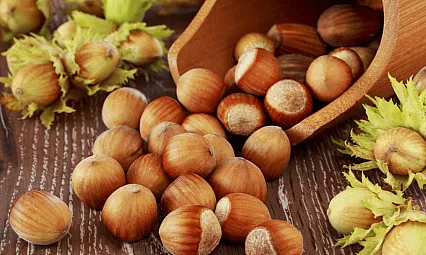 Trabzon'lu üreticiler dikkat! Fındıkta 235 TL barajı aşılıyor mu?