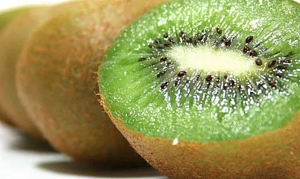 Türkiye'nin kivi ambarı Çarşamba'da neden kivi tercih ediliyor?