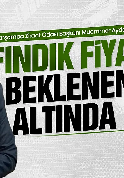 Fındık fiyatına ilk değerlendirme Muammer Aydemir'den