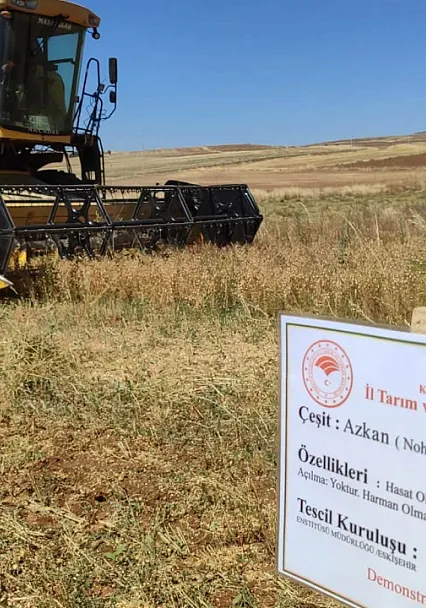 Kütahya'da bakteri aşılı nohut ekimi verimi artırdı