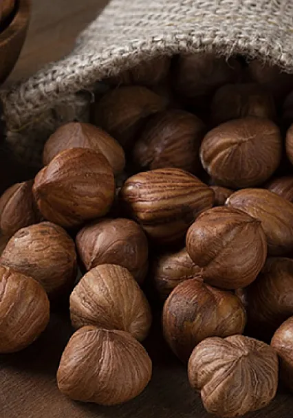 Trabzon'da fındık fiyatları ilçelere göre değişiyor