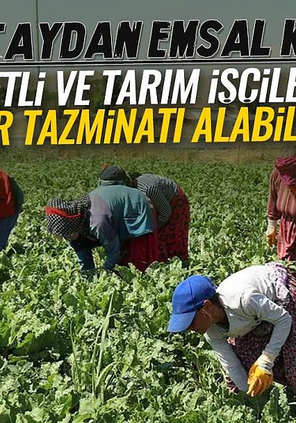 Yargıtay'dan emsal karar: Hizmetli ve tarım işçileri de ihbar tazminatı alabilecek