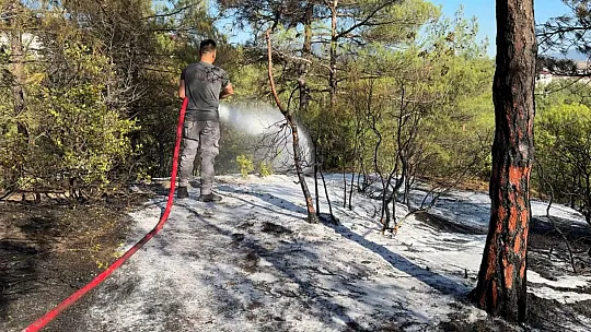 Karabük'te Kent Ormanı'nda örtü yangını paniği