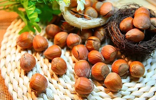 14 Mart 2026 Bartın fındık fiyatları | Çakıldak, tombul ve sivri fındık kaç TL?