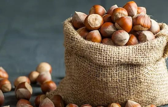 14 Mart 2026 Kocaeli fındık fiyatları açıklandı | Kandıra ve merkezde son durum
