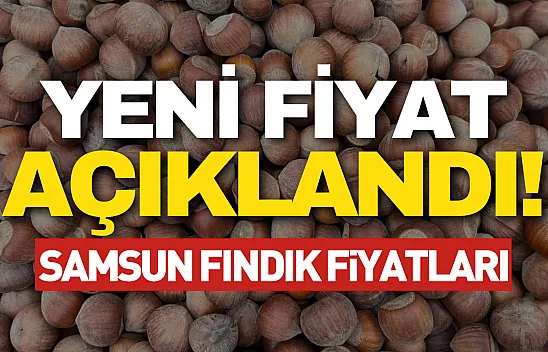 14 Mart 2026 Samsun fındık fiyatları | Terme ve Çarşamba'da son durum