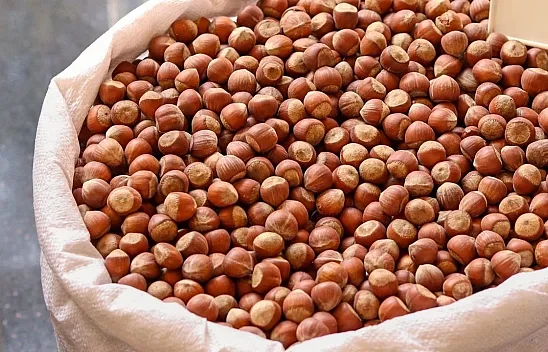 14 Mart Trabzon fındık fiyatları | Serbest piyasada son durum