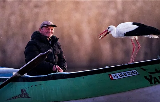 'Yaren' leylek yeniden yuvasında!