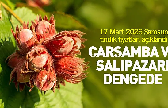 17 Mart 2026 Samsun fındık fiyatları açıklandı | Çarşamba ve Salıpazarı dengede