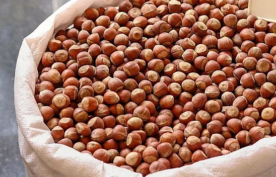 24 Şubat 2026 Zonguldak fındık fiyatları | Alaplı ve Ereğli'de son durum