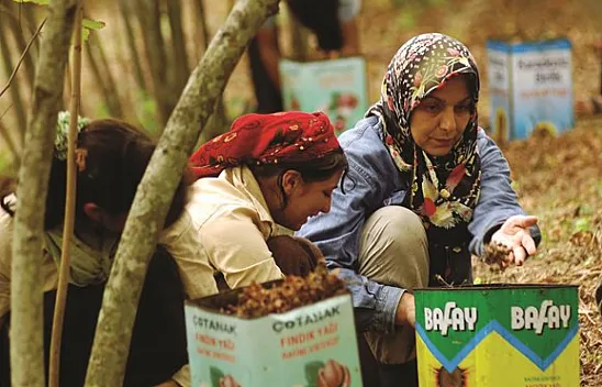 25 Şubat 2026 Samsun fındık fiyatları| Serbest piyasada fiyatlar neden yükselmiyor?