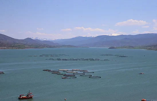 Almus Baraj Gölü'nde doluluk yüzde 82'ye yükseldi