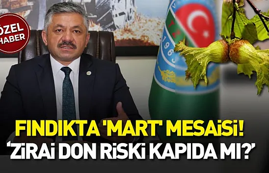 Bölge ekonomisinin kalbi fındıkta 'Mart' mesaisi! 'Zirai don riski kapıda mı?'
