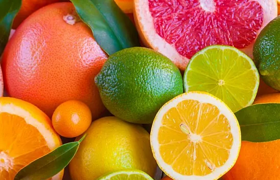 Dalından sofraya şifa: Turunçgillerin bilinmeyen gücü