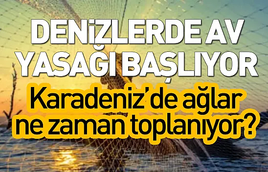 Denizlerde av yasağı başlıyor: Karadeniz'de ağlar ne zaman toplanıyor?