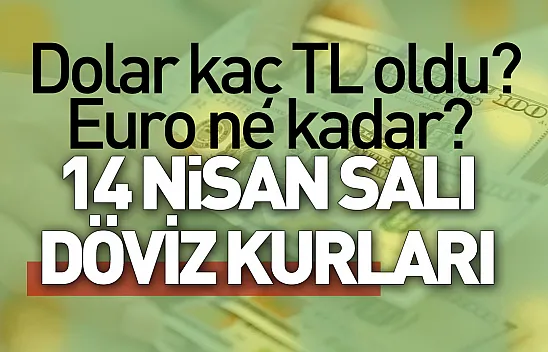 Dolar kaç TL oldu, Euro ne kadar? (14 Nisan Salı döviz kurları)