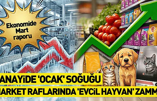 Ekonomide Mart raporu: Sanayide 'Ocak' soğuğu, market raflarında 'evcil hayvan' zammı!