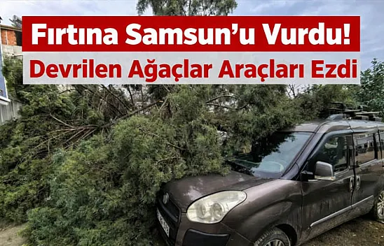 Fırtına Samsun'u Vurdu! Devrilen Ağaçlar Araçları Ezdi