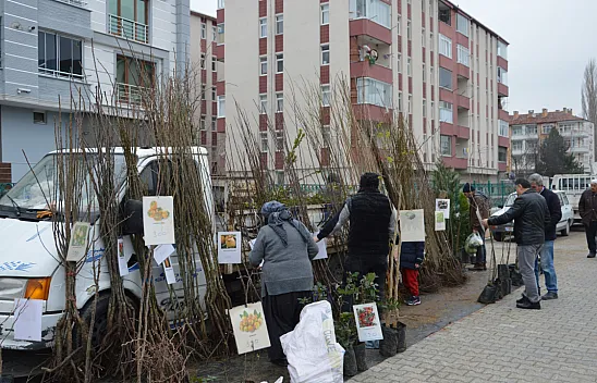 Havza'da fidan pazarı kuruldu, bahar hareketliliği başladı