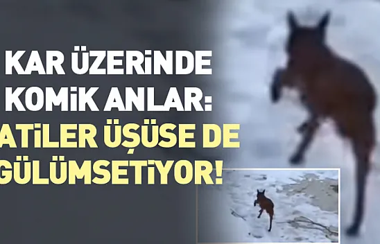 Kar üzerinde komik anlar: Patiler üşüse de gülümsetiyor!