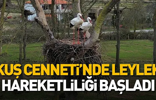 Kızılırmak Deltası Kuş Cenneti'nde leylek hareketliliği başladı