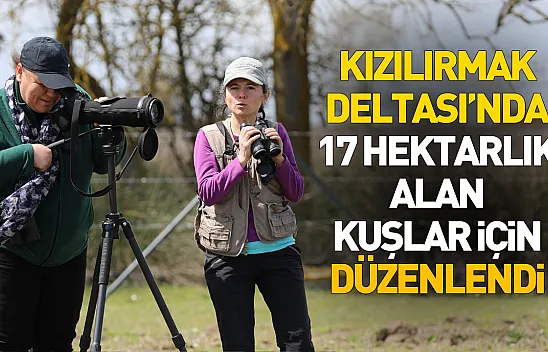 Kızılırmak Deltası'nda 17 hektarlık alan kız kuşlarının üremesi için düzenlendi