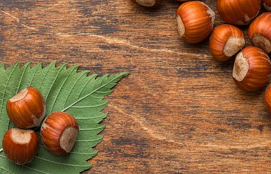 Kocaeli'de fındık fiyatları netleşti: İşte güncel fiyat listesi