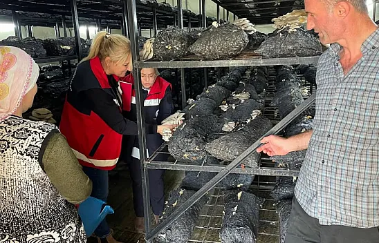 Samsun'da Mantar hasadı etkinliği düzenlendi