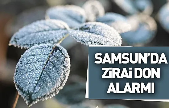 Samsun'da zirai don alarmı: Üreticilere tedbirinizi alın uyarısı!