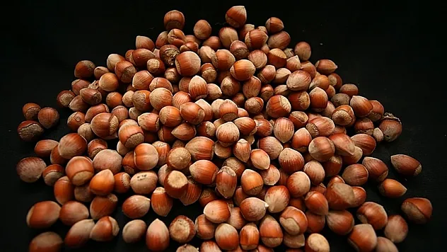 1,2 milyar dolara yakın gelir