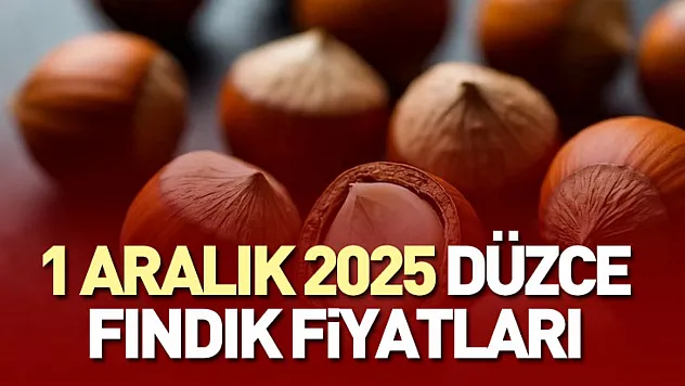 1 Aralık 2025 Düzce Fındık Fiyatları | Sessiz Ama Güçlü Yükseliş
